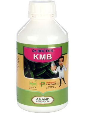 ANAND AGRO CARE DR BACTO'S KMB BIO FERTILIZER
