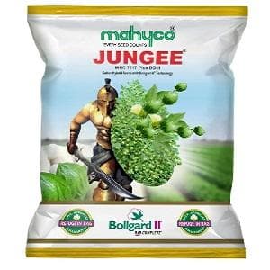 MAHYCO JUNGEE COTTON