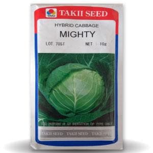 MIGHTY CABBAGE F1