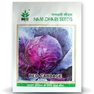 CHINESE CABBAGE RED