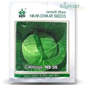 NS 35 CABBAGE