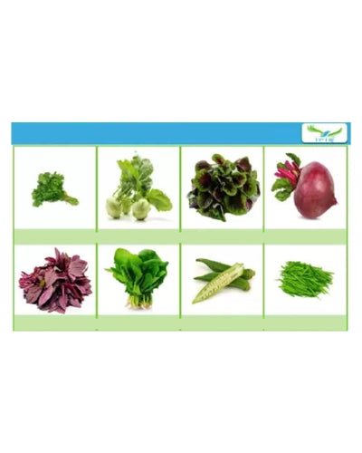 IRIS HYBRID 8 VARIETIES OF VEGETABLES, FRUITS & HERBS SEEDS