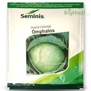 OMPHALOS CABBAGE SEEDS