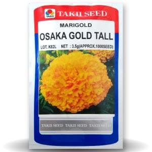 OSAKA GOLD TALL MARIGOLD