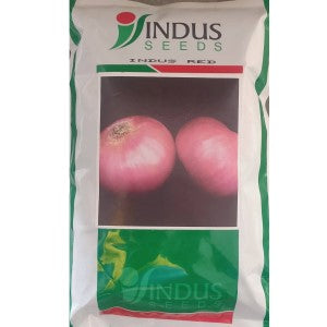 INDUS ONION INDUS RED