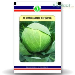 S92 CABBAGE