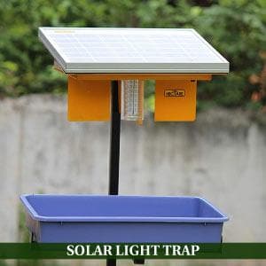 HECTARE SOLAR INSECT TRAP