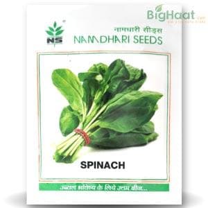 NS 1466 SPINACH