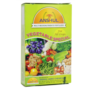 ANSHUL VEGETABLE SPECIAL