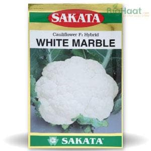 WHITE MARBLE CAULIFLOWER