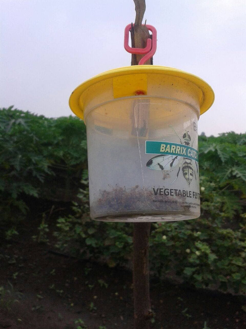 CATCH VEGETABLE FLY LURE + TRAP