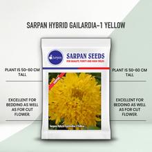 SARPAN HYBRID GAILARDIA - 1 YELLOW SEEDS
