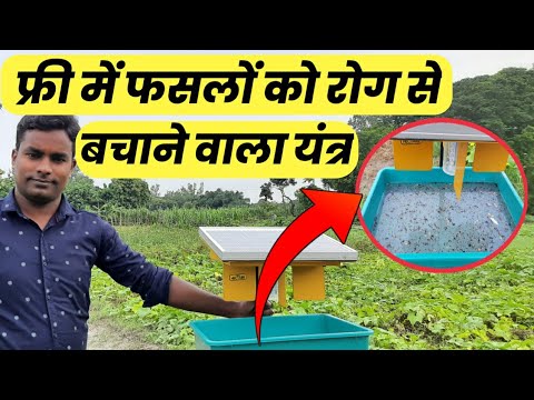 HECTARE SOLAR INSECT TRAP