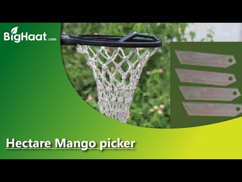 HECTARE MANGO FRUIT PICKER/HARVESTER WITH 4 REPLACEABLE SHARP BLADE AND COTTON NET