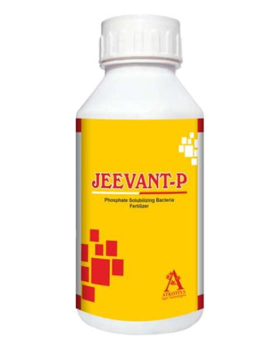 JEEVANT- P Phosphate Solubilizing Bacteria Fertilizer
