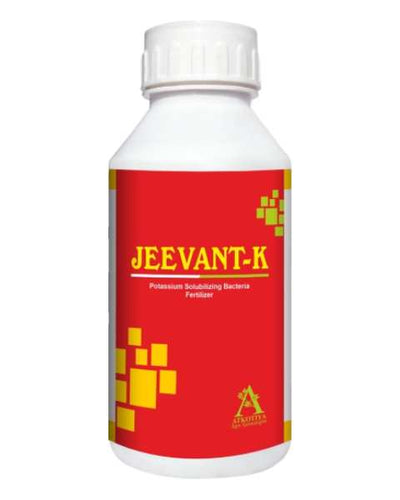 JEEVANT-K Potassium Solubilizing Bacteria Fertilizer