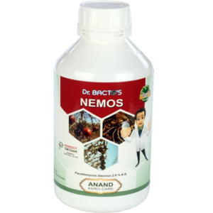 ANAND DR BACTO'S NEMOS
