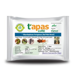 TAPAS RED PALM WEEVIL LURE