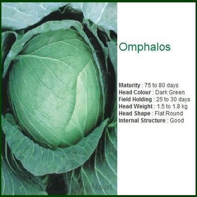 OMPHALOS CABBAGE SEEDS