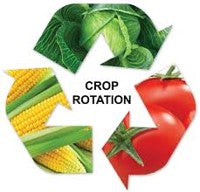 "పంట మార్పిడి"  [Crop Rotation] - ప్రయోజనాలు మరియు లాభాలు!