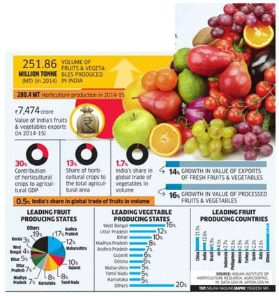 Higher consumption of fruits and vegetables as eating habits turn healthy