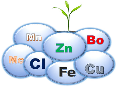 Relationship of Plant diseases and Micronutrients