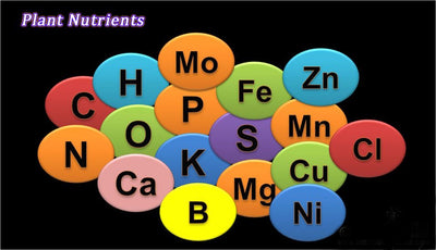 Balanced plant nutrition