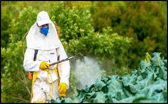 pH of pesticide spray mix – an important factor for effective insect management in Agriculture.