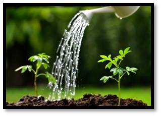 Quality of Irrigation water and structured water