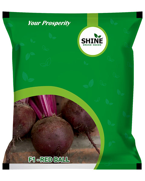 SHINE RED BALL BEET ROOT SEEDS