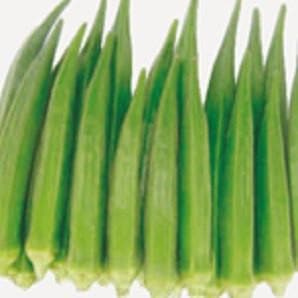 OH-102 BHENDI (OKRA) ( 102 भिन्डी )