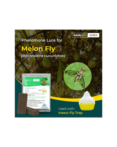 GAIAGEN MELON FLY LURE & INSECT FLY TRAP COMBO PACK