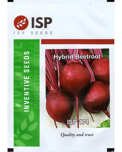 ISP174 HYBRID BEETROOT