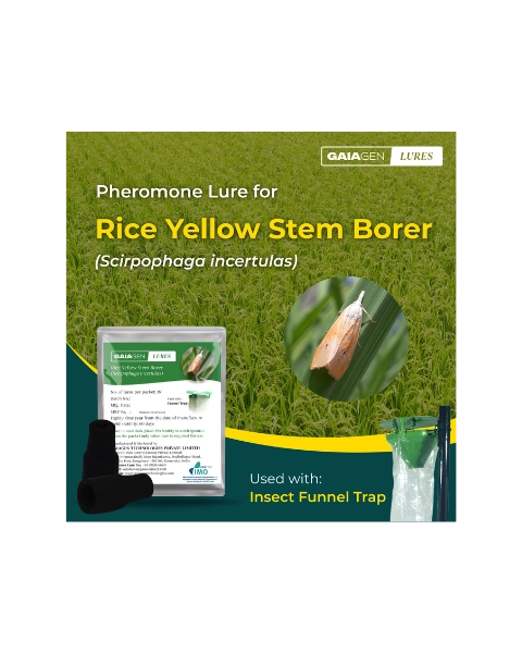 GAIAGEN YELLOW RICE STEM BORER & INSECT FUNNEL TRAP COMBO PACK