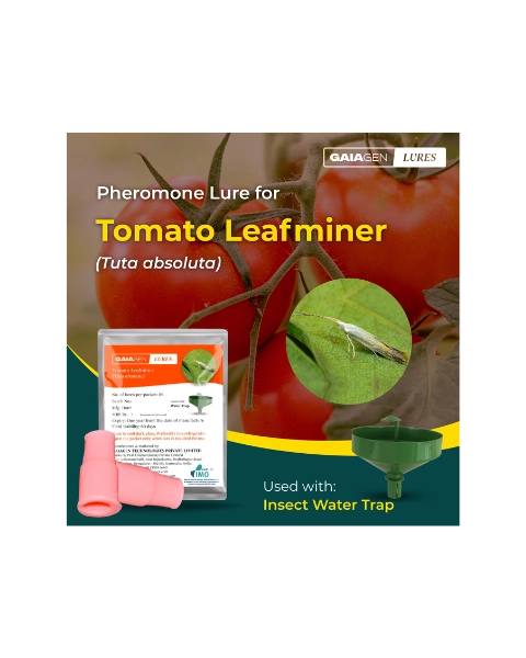 GAIAGEN TOMATO LEAFMINER LURE & INSECT WATER TRAP 1.6L COMBO PACK
