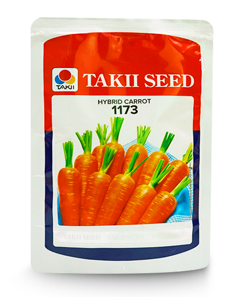 1173 Hybrid Carrot seeds