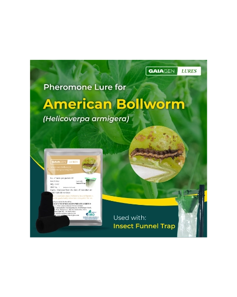 GAIAGEN AMERICAN BOLLWORM LURE & INSECT FUNNEL TRAP COMBO PACK