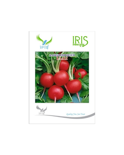 IRIS HYBRID IMPORTED LAALI RADISH