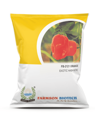 FARMSON F1 HYBRID CHILLI SEEDS