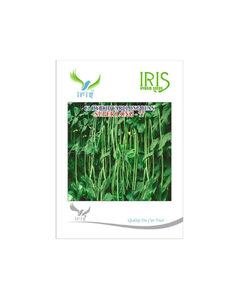 IRIS HYBRID F1 SUPERLONG-77 YARDLONG BEANS