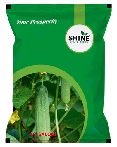 SHINE CUCUMBER SALONI F1 HYBRID SEEDS