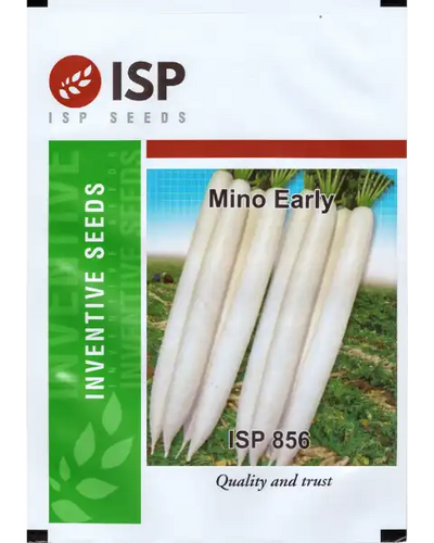 ISP856 RADISH - MINU EARLY