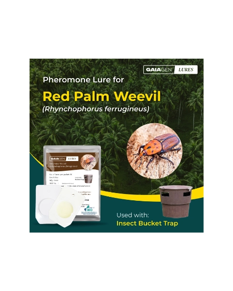 GAIAGEN RED PALM WEEVIL LURE & INSECT BUCKET TRAP COMBO PACK