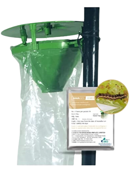 GAIAGEN AMERICAN BOLLWORM LURE & INSECT FUNNEL TRAP COMBO PACK