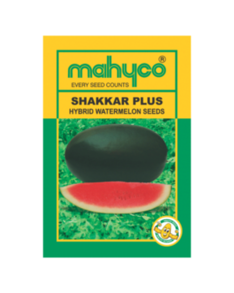 SHAKKAR PLUS Hy Watermelon