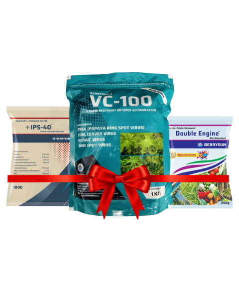 VC-100 IPS Combo for 200 liter spray, Includes VC-100(1 KG) + IPS-40 (100 gm) + Double Engine (250 gm) Best Control on Virus in Chilli, Tomato, Papaya, Brinjal, Bitter Gourd, Green Gram, Capsicum, Tobacco, Okra etc.