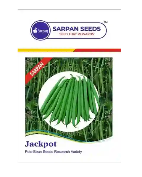 SARPAN JACKPOT POLEBEANS