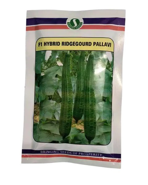 F1 HYBRID RIDGE GOURD PALLAVI