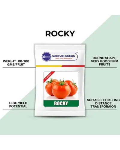 SARPAN ROCKY TOMATO