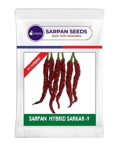 SARPAN SARKAR-9